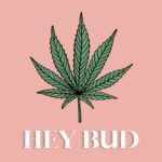 Hey Bud